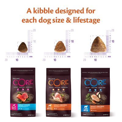 Zoom bild av CORE Adult Original Medium Breed Turkey/Chicken
