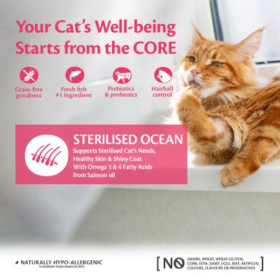Zoom bild av CORE Cat Adult Sterilized Ocean Salmon Recipe