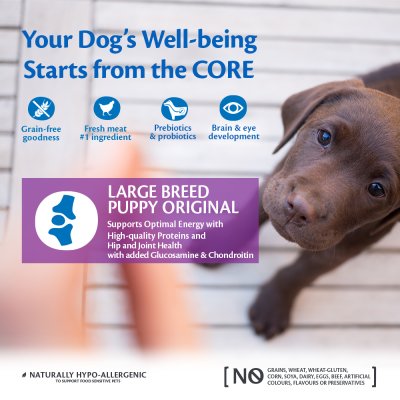 Zoom bild av Wellness Core Puppy Original Chicken Recipe Large Breed
