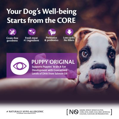 Zoom bild av Wellness Core Puppy Original Turkey Chicken Small Medium Breed