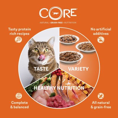 Zoom bild av kattfoder kattmat blötmat våtfoder kyckling kycklinglever i sås spannmålsfri proteinrik naturlig balanserat komplett wellness co