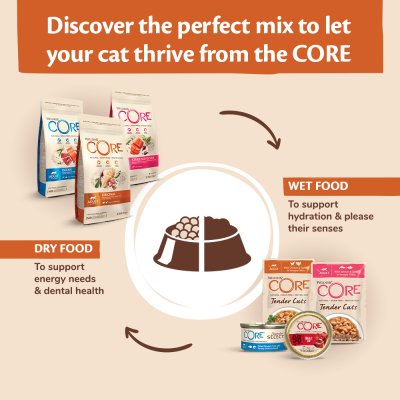 Zoom bild av kattfoder kattmat blötmat våtfoder kyckling kycklinglever i sås spannmålsfri proteinrik naturlig balanserat komplett wellness co