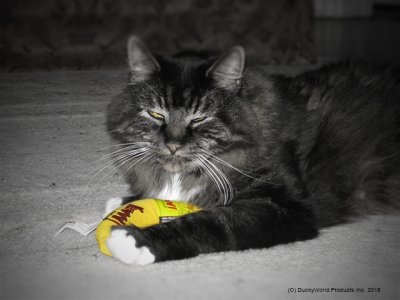 Zoom bild av Yeowww Chicata Banana