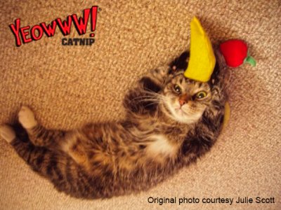 Zoom bild av Yeowww Chicata Banana