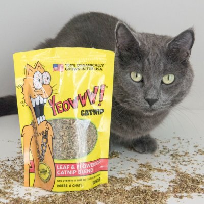 Zoom bild av Yeowww Catnip Mini kattmynta 4g äkta ekologisk catnip bästa kvalitet refill fyll på kattleksaker kattmyntabad odlad i usa