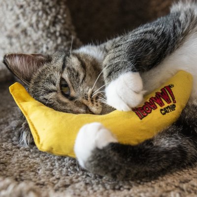 Zoom bild av Yeowww! Chicata Banan catnip äkta ekologisk kattmynta gul banana kattleksak
