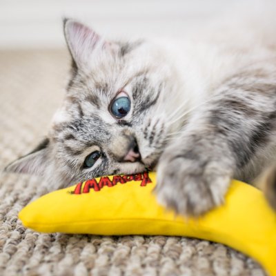 Zoom bild av Yeowww! Chicata Banan catnip äkta ekologisk kattmynta gul banana kattleksak
