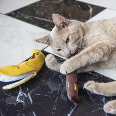 Zoom bild av Yeowww! Cigarr Original cigar catnip äkta ekologisk kattmynta kattleksak favorit bästa brun rosa blå bomull avlång kicker