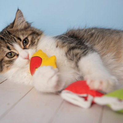 Zoom bild av Yeowww! Kitten Mitten catnip ekologisk kattmynta kattleksak vante gul grön röd bomull