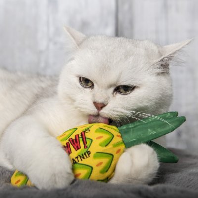 Zoom bild av Yeowww! Pineapple 18 cm ananas catnip äkta ekologisk kattmynta kattleksak kvalitet prassel blad gul grön