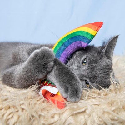 Zoom bild av Yeowww! Rainbow 15 cm catnip äkta ekologisk kattmynta regnbåge kattleksak pride röd orange gul grön blå lila bomull kvalitet