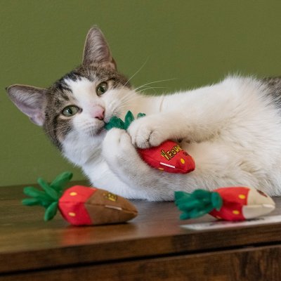 Zoom bild av Yeowww! Strawberry jordgubbe catnip ekologisk kattmynta äkta kattleksak chokladdoppad vit choklad röd grön bomull